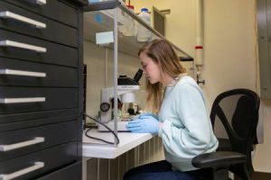 Early-career scientist awarded fellowship to study the heritage of meteorites featured image