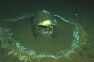 UCLA geochemist helps identify sources of DDT contamination in ocean featured image