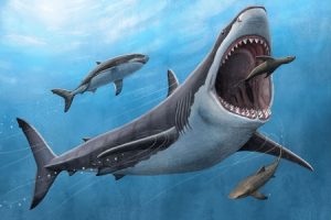 Megalodon Was No Cold-Blooded Killer - EPSS Professor Co-Leads Discovery featured image