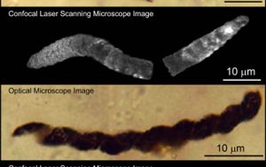 geobiology_featured_image