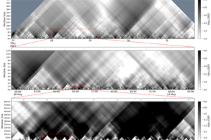 Unexpected Patterns in the Solar Wind featured image